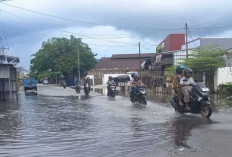 Banjir Rob Rendam Ratusan Rumah di Pangkalpinang, Warga Mengungsi Cari Tempat Aman