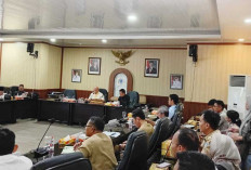 Apdesi Tempilang Adukan PT Sawindo Kencana ke DPRD Babel, Tuntut Kejelasan Plasma Sawit 