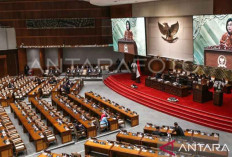 Peran Kemenkeu dalam Regional Chief Economist dan Financial Advisor