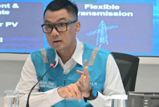 PLN Pastikan Layanan Listrik Optimal untuk Natal dan Tahun Baru 2024/2025