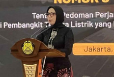 Pemerintah Prioritaskan Migas dalam Gelombang Pertama Pendanaan BPI Danantara