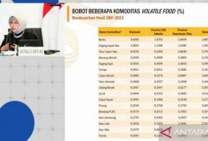 BPS Ungkap Komoditas Pangan yang Paling Berpotensi Picu Inflasi, Beras Teratas