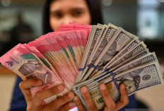 Tekanan Rupiah, ke Mana Arah Kebijakan BI ?