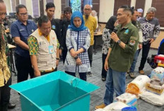 PLN Babel Fasilitasi Petani Buat Pupuk, Berbahan Abu Batu Bara