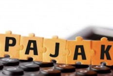 Taktik Miliarder Hindari Pajak Terungkap, Bikin Publik Geleng Kepala