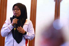 Jangan Hanya Ojol, Pemerintah Harus Perhatikan Sopir Profesi Lainnya