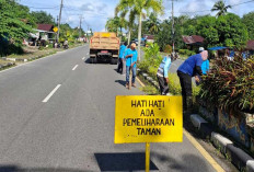 Meski Ramadan, DPUPR Belitung Rawat Taman Median Jalan