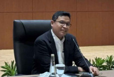 Penunjukan Marketplace Pungut PPh 22 Ditunda, DJP Tunggu Arahan Menkeu