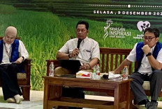 Pemerintah Naikkan Anggaran Ketahanan Pangan 31,7 Persen di 2026 Jadi Rp210,4 Triliun