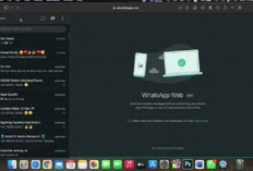 WhatsApp Hadirkan Fitur Dark Mode untuk Versi Web