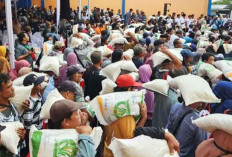 Menko Airlangga Pastikan Bantuan Pangan Segera Dimulai Juli Ini