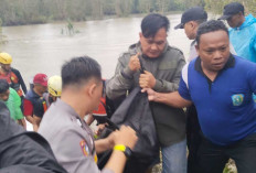 Tragedi Sungai Cerucuk Belitung: Cerita Terakhir Penambang Timah Sebelum Tewas Diterkam Buaya