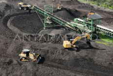 UKM Bisa Ajukan Izin Usaha Pertambangan, Ini Syarat dan Kriterianya