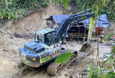 Bahlil Segera Eksekusi Penertiban Tambang Ilegal, Ikuti Arahan Presiden