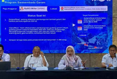 KKP: Produksi Garam Nasional 2025 Hanya 1 Juta Ton, Kebutuhan Capai 5 Juta Ton