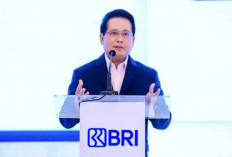 BRI Tuntas Salurkan Dana Rp55 Triliun ke Sektor Produktif dan UMKM