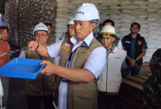 Stok Beras Melimpah, Bulog Minta Masyarakat Tak Khawatir Soal Pasokan Pangan