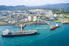 Saham CDIA Diborong Broker Besar, Kinerja Logistik Melejit & Target Harga Naik