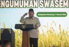 Strategi Indonesia Menuju Swasembada Pangan Berkelanjutan