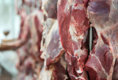 8 Cara Mencegah Kolesterol dan Gula Darah Naik Setelah Makan Daging Kurban