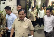 Jokowi Puji Langkah Diplomasi Ekonomi Prabowo, Teken IEU-CEPA & Turunkan Tarif AS 