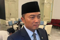 Istana: Ada Rencana GoTo dan Grab Digabung