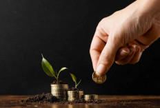 5 Jenis Investasi Paling Menguntungkan untuk Masa Depan, Ini Pilihan Terbaiknya