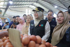 Harga Telur Stabil, Babel Tambah 39,5 Ton Pasokan Baru