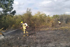 Karhutla Januari 2026 di Beltim Meluas, 23 Hektare Lahan Terbakar di Sejumlah Desa