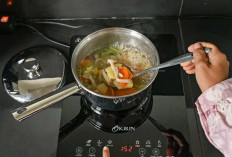 Saatnya Mengkaji Ulang Program Kompor Listrik, Antisipasi Krisis LPG