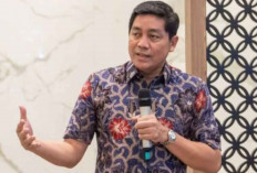 Pemerintah Buka Keran Impor Ayam AS, Industri Domestik Dipastikan Aman