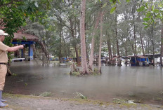 Banjir Rob Terparah Terjang Pantai Tanjungpendam, Waspada Air Laut Naik Lebih Tinggi