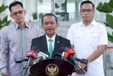 Tahun Depan DEN Bahas Energi Nuklir, Pemerintah Targetkan Indonesia Punya PLTN Tahun 2032