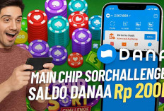 Auto Cair! Begini Cara Main Game Chip Sort Challenge Dapat Saldo DANA Gratis Rp200.000