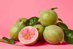 7 Buah Tinggi Magnesium yang Bikin Otak Tajam dan Tidur Lebih Nyenyak