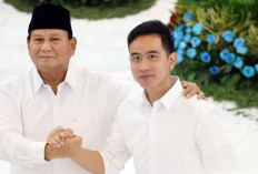 Setahun Pemerintahan Prabowo-Gibran: Lompatan Besar Energi Hijau dan Hilirisasi Nasional
