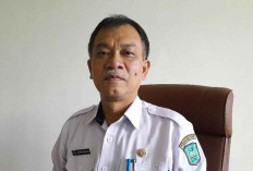 Diskominfo Dukung PPDB di Belitung Secara Online