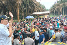 PT GML Penuhi Tuntutan Plasma Inti 20 Persen, Ganti Rugi 30 Tahun Belum Ada Kepastian