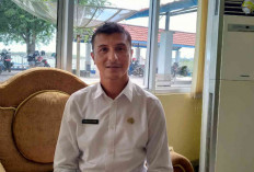 Ekspor Ikan Kerapu Belitung Ke Hongkong Tersendat, Ini Penyebabnya