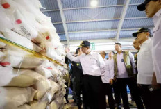 Mentan Amran Pastikan Harga Pangan Strategis Stabil Jelang Ramadan dan Idulfitri 2026