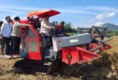 Wamentan Sudaryono Ungkap Strategi Pemerintah Hentikan Impor Beras dan Jagung