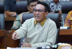 Pengumunan Seleksi PPPK Beltim 2024 Segera Menyusul, Ini Jadwalnya