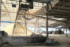 Perusahaan Tambang Kaolin di Badau Harus Ditindak Tegas, Diduga Gunakan BBM Subsidi
