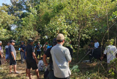 Momen Idul Adha, Habid Dur Terharu Daging Sapi Kurban Herwendro Berbau Wangi