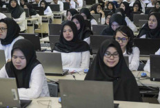 CPNS 2026 Dibuka, Afirmasi Honorer Dipastikan Nihil? Ini Penjelasan BKN