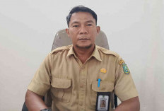 DKUKMPTK Pastikan Stok Pangan di Belitung Aman Jelang Idul Fitri 2026