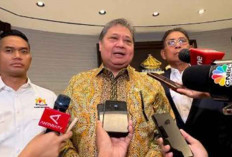 Menko Airlangga: Mandatori Biodiesel B40 Dijalankan Tahun Ini, B50 Masih Dikaji