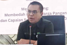 Harga Minyakita Mulai Turun, Bapanas Sebut Sudah Dekati HET