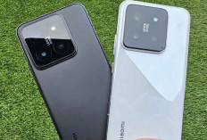 Mengintip Bocoran Spesifikasi Xiaomi 15 Pro dan Ultra: Jadwal Peluncuran dan Fiturnya