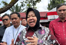 Tri Rismaharini Mundur sebagai Menteri Sosial untuk Maju di Pilkada Jatim 2024